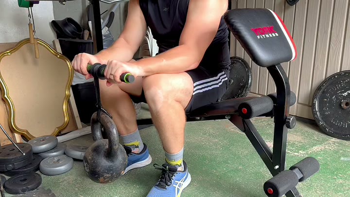 Reverse Wrist Curls